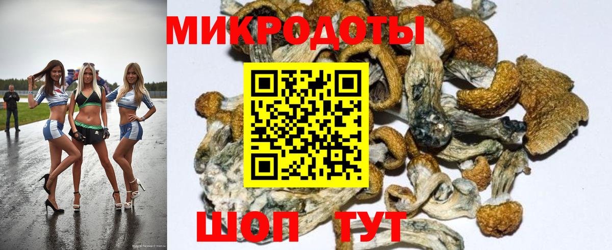 Галлюциногенные грибы Magic Shrooms Ивантеевка