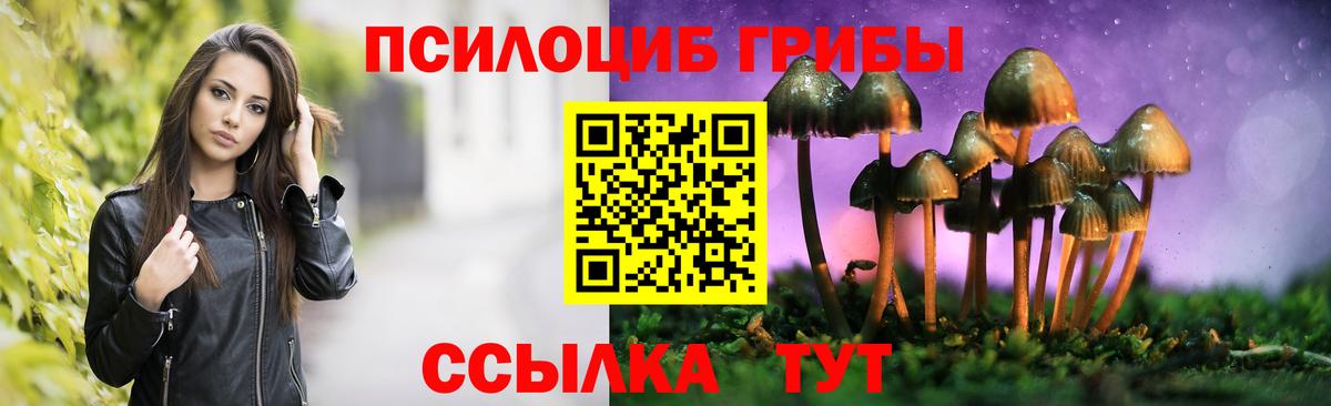 Галлюциногенные грибы прущие грибы  Вход с VPN  Галлюциногенные грибы Psilocybine cubensis  Ивантеевка 